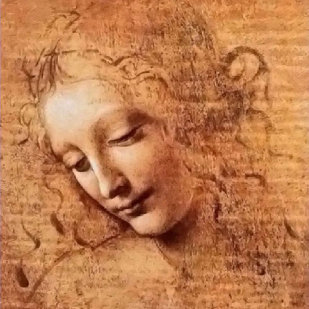 LEONARDO DAVINCI Small Diamond painting to be completed!